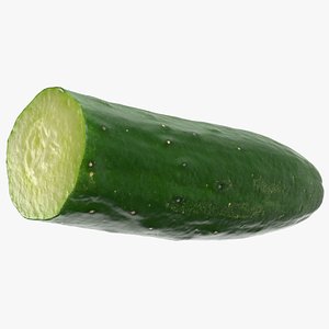 3D Japanese Cucumber Half 02