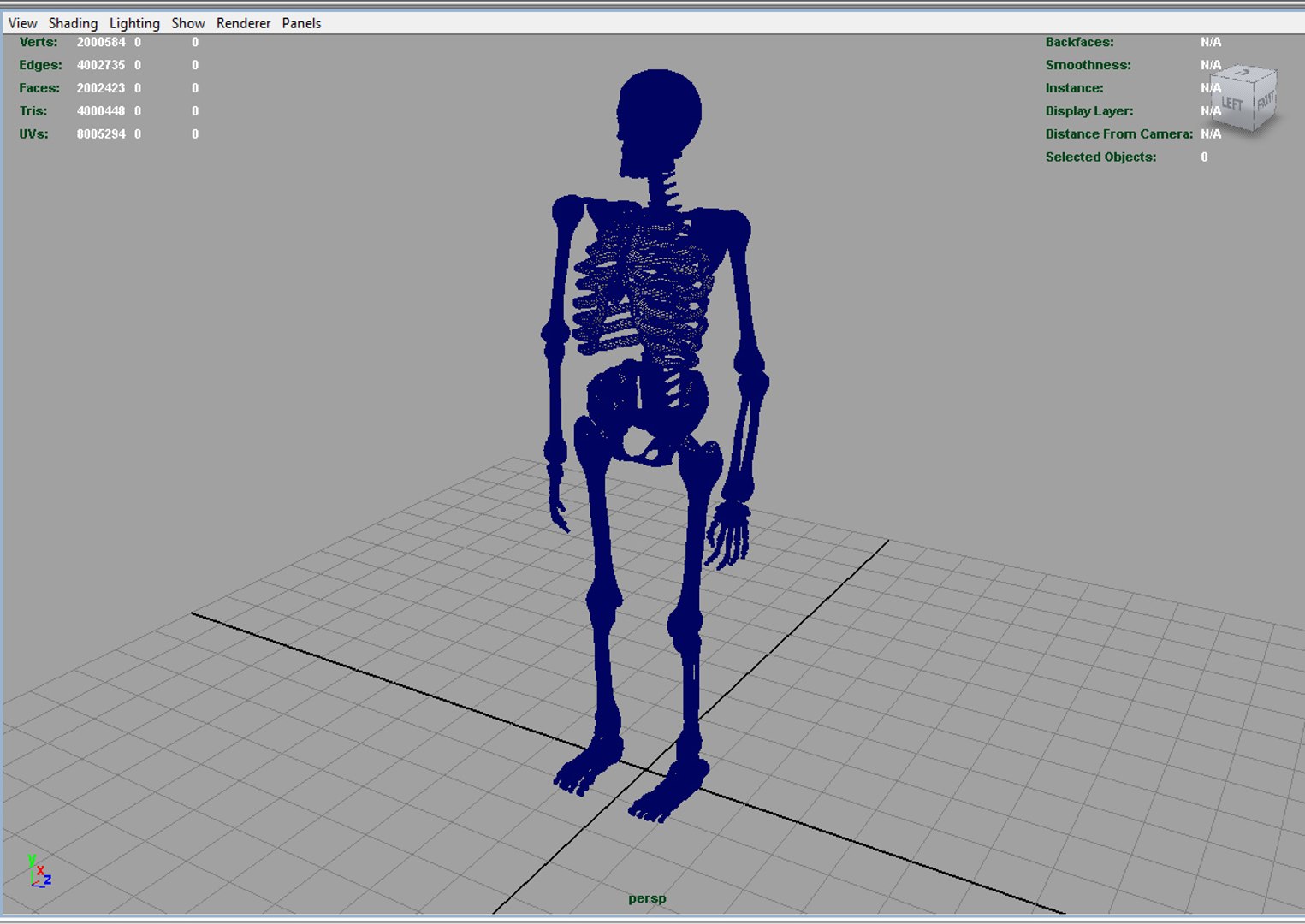 Skeleton Body 3d Obj