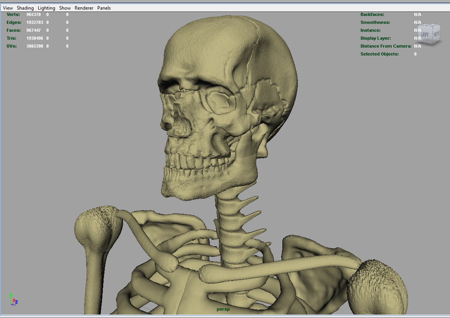 Skeleton Body 3d Obj