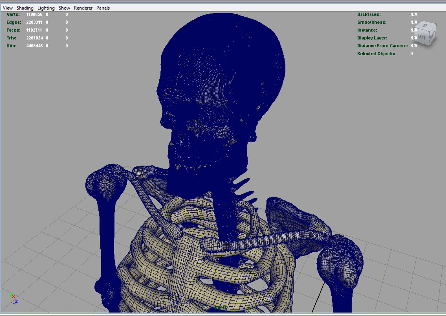 Skeleton Body 3d Obj