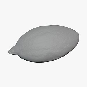 3D Peeled Pumpkin Seed 01 - For 3D Print model