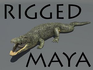 3d realistic crocodile rigged model