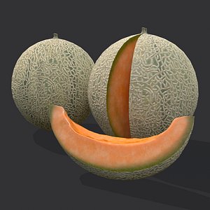3D Delicious Melons model