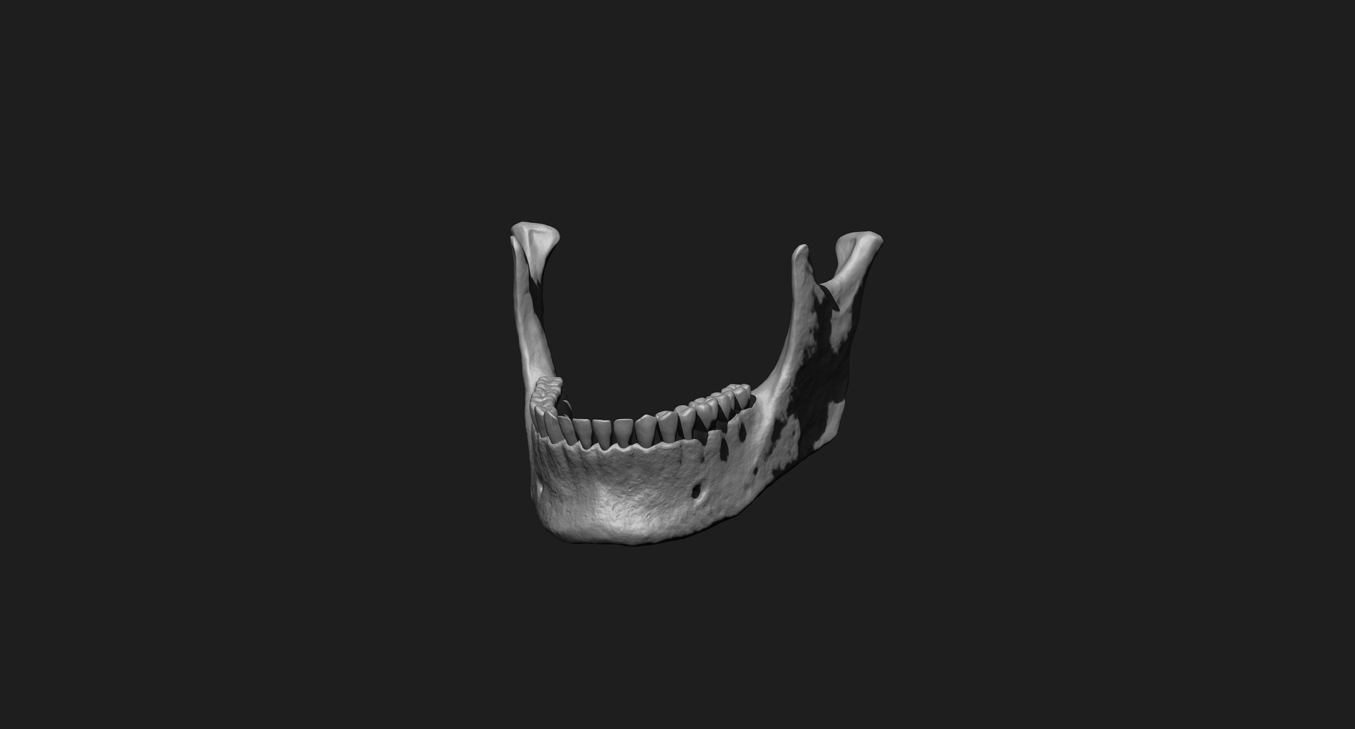 3D human skull https://p.turbosquid.com/ts-thumb/xX/qr9ZvE/FoW51qrk/026/jpg/1519083899/1920x1080/fit_q87/208e7fff4f957ce19d1e4db5afc25f1bfdc38c8d/026.jpg