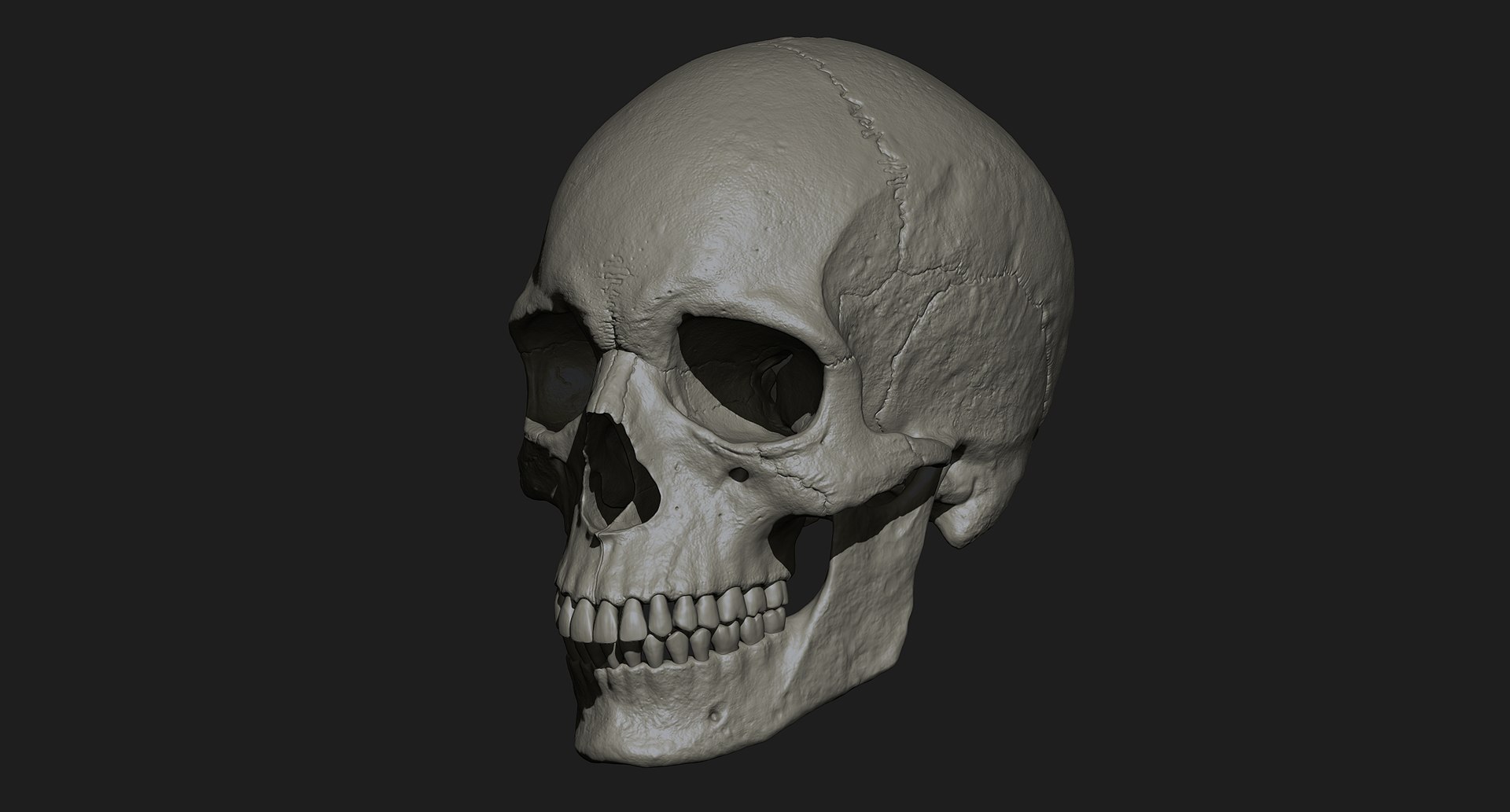 3D human skull https://p.turbosquid.com/ts-thumb/xX/qr9ZvE/I2aWsnHx/014/jpg/1519083899/1920x1080/fit_q87/8b2a1400dceceab0a1aee0ac9ff89485646b85f7/014.jpg
