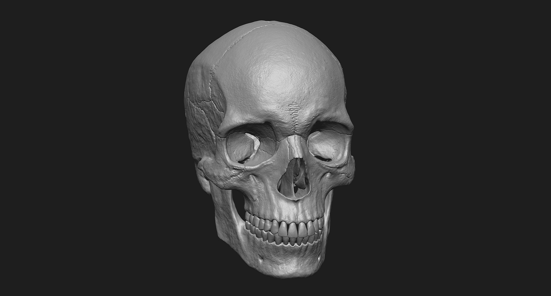 3D human skull https://p.turbosquid.com/ts-thumb/xX/qr9ZvE/MyBPBcxF/007/jpg/1519083898/1920x1080/fit_q87/398acf318d527f3205603b6e85c23b40a28cc1a8/007.jpg