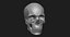 Модель человеческого черепа Zbrush