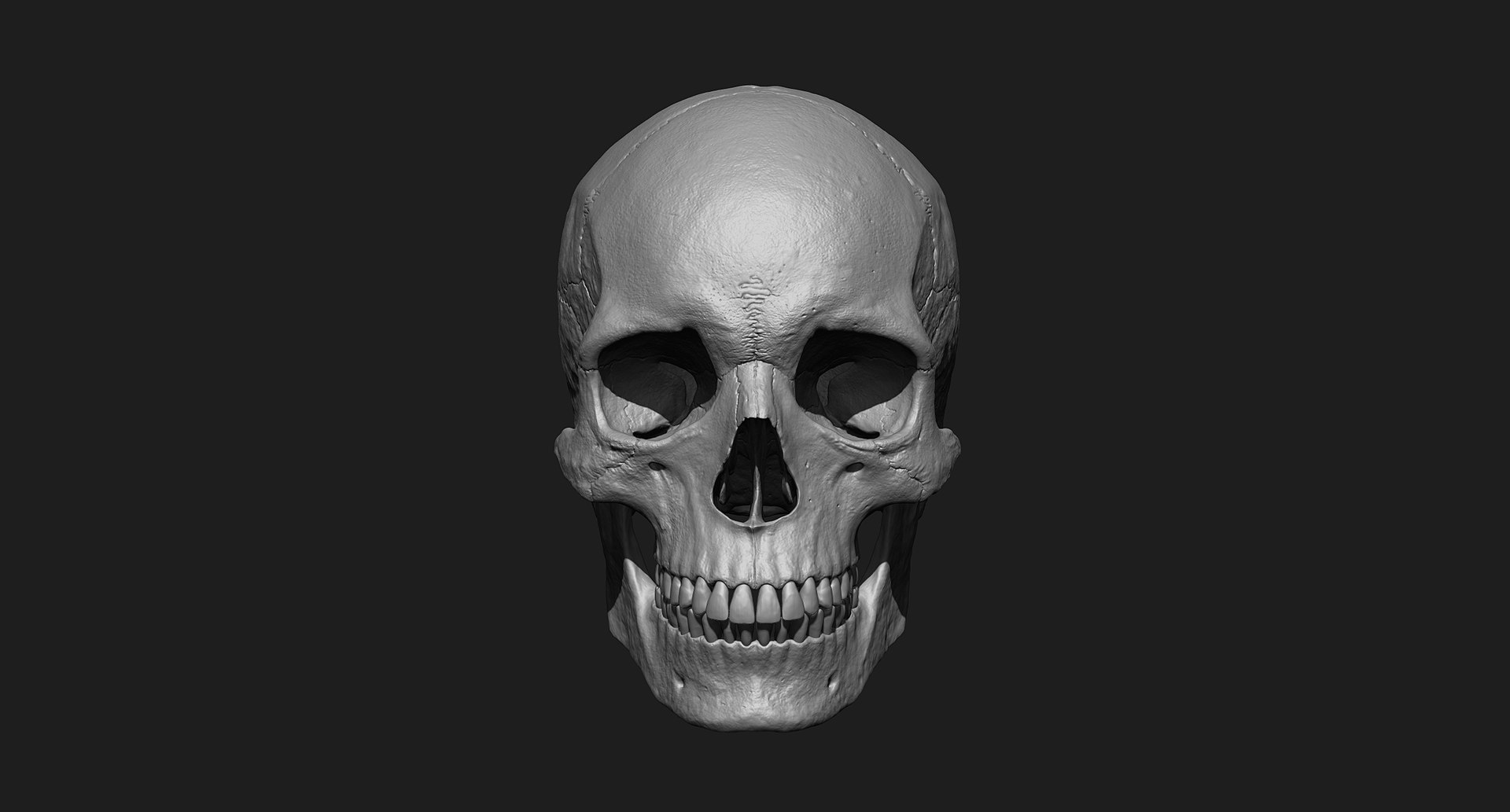 3D human skull https://p.turbosquid.com/ts-thumb/xX/qr9ZvE/QyTcQ7Cl/002/jpg/1519083898/1920x1080/fit_q87/2f5ab182b52118e2ea8f95886fc4914ebbf7f56b/002.jpg