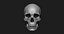 Модель человеческого черепа Zbrush