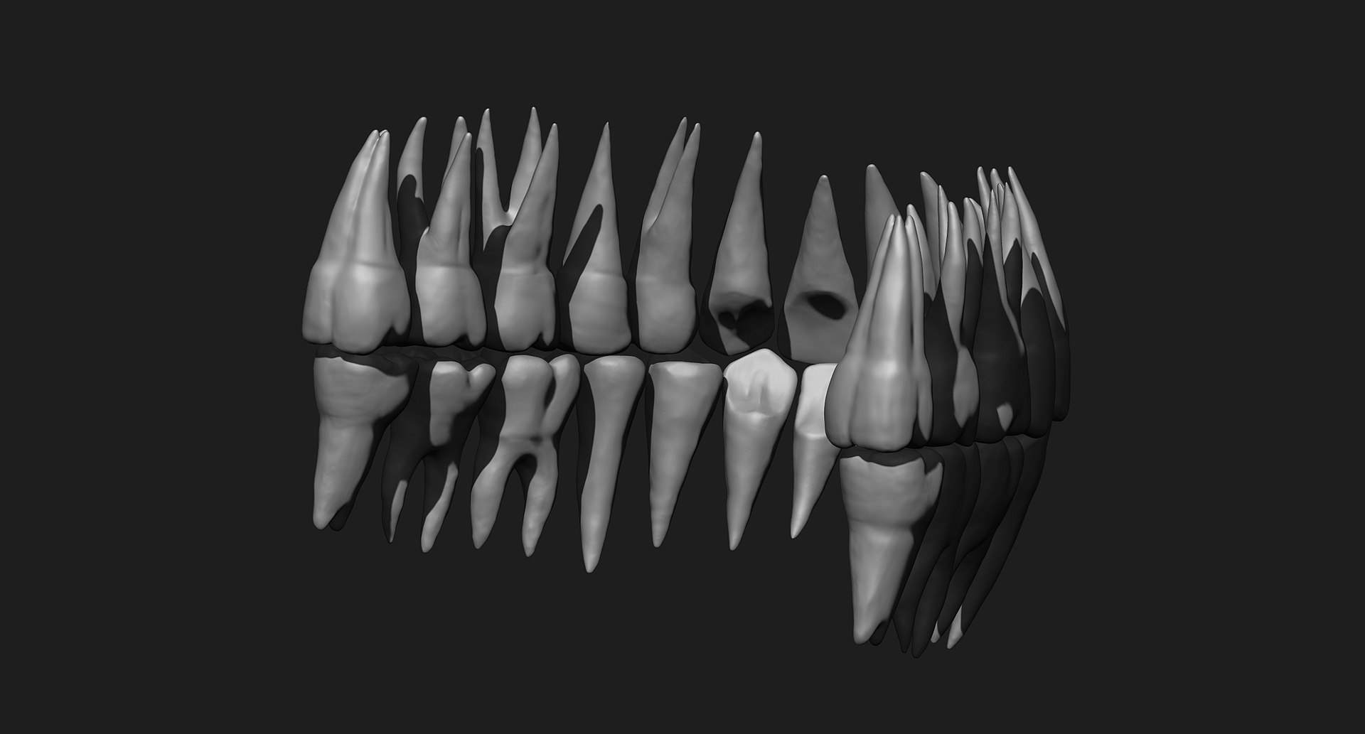 3D human skull https://p.turbosquid.com/ts-thumb/xX/qr9ZvE/XYgZEGPz/029/jpg/1519083899/1920x1080/fit_q87/43df6c2884a3aa0c9e2cc4924cfde5e4937a6043/029.jpg