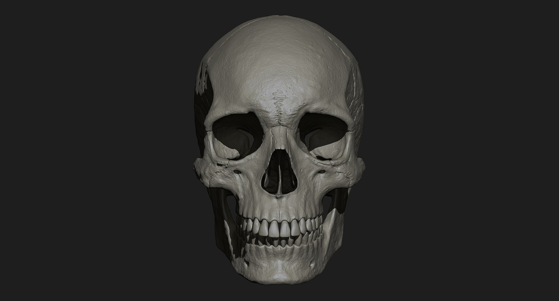 3D human skull https://p.turbosquid.com/ts-thumb/xX/qr9ZvE/cqngOjGc/015/jpg/1519083899/1920x1080/fit_q87/61a37fe68c9b3c9a38d9519175d685a437d915b5/015.jpg