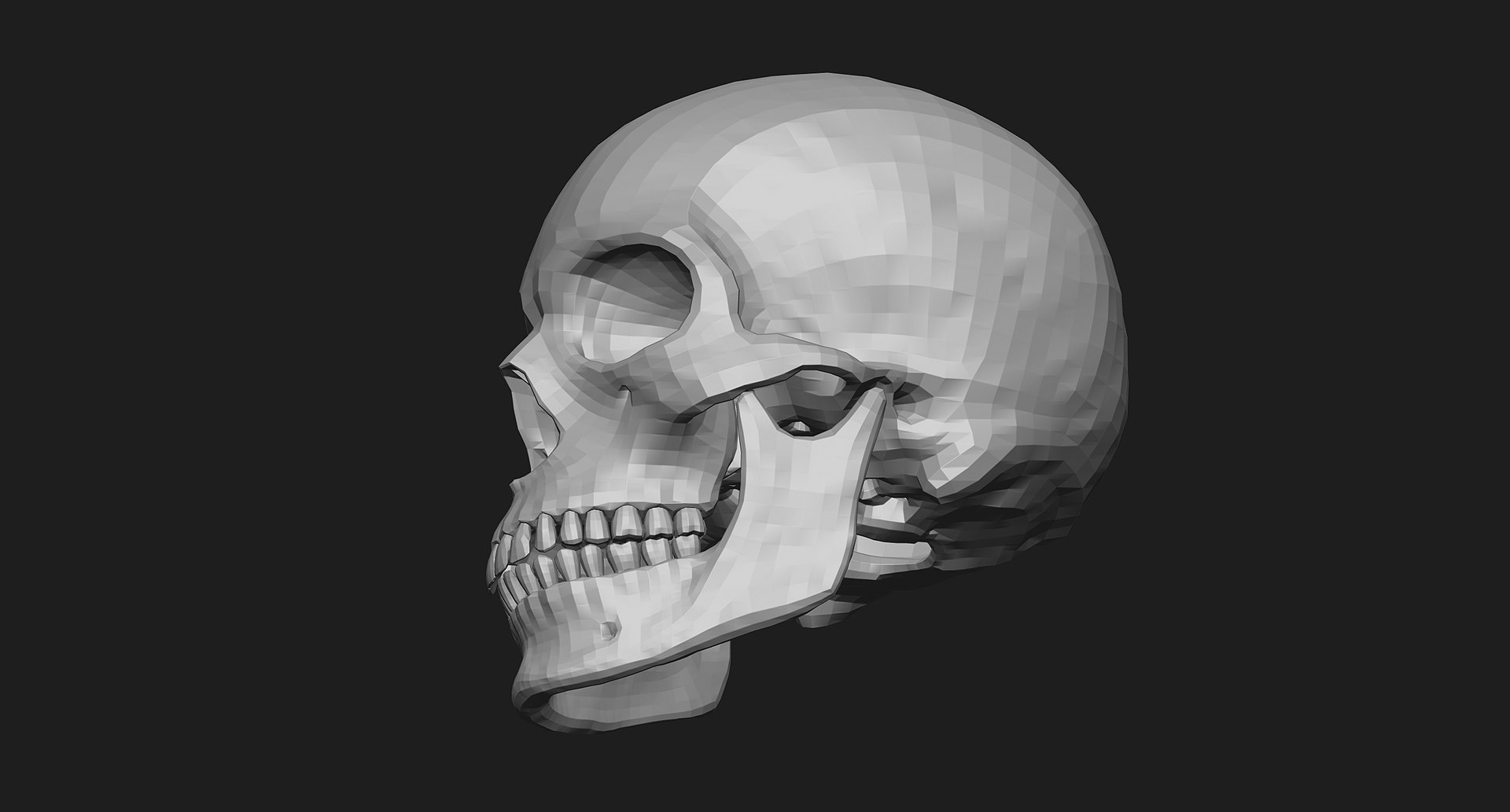 3D human skull https://p.turbosquid.com/ts-thumb/xX/qr9ZvE/koRcSlEf/008/jpg/1519083898/1920x1080/fit_q87/d561ce993c0365563fb4976d17e314a0d6db6432/008.jpg