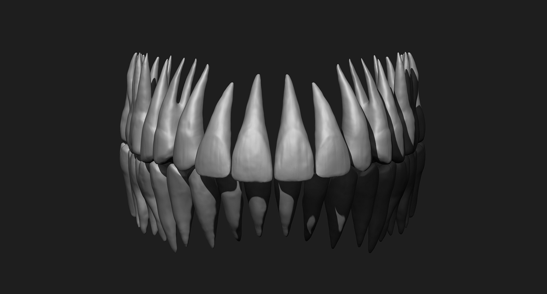 3D human skull https://p.turbosquid.com/ts-thumb/xX/qr9ZvE/yYg3jbTK/028/jpg/1519083899/1920x1080/fit_q87/eccbc77bc50fb09d696e38f93a65c403a95b736c/028.jpg