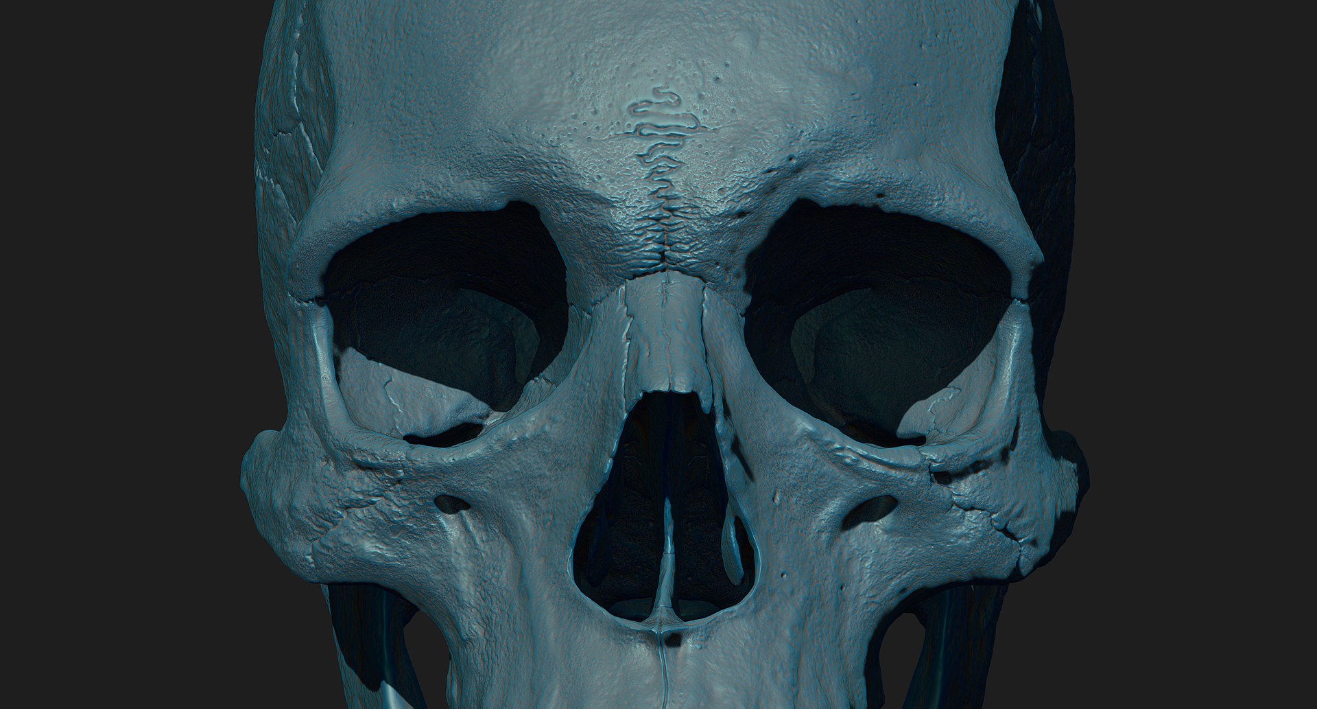 3D human skull https://p.turbosquid.com/ts-thumb/xX/qr9ZvE/zPOlye39/020/jpg/1519083899/1920x1080/fit_q87/f0cac04eaf4d0648d99cc4a725dee0482a009898/020.jpg