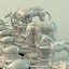 chess2