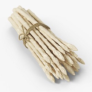 Bunch of Fresh White Asparagus Spears Fur 3D