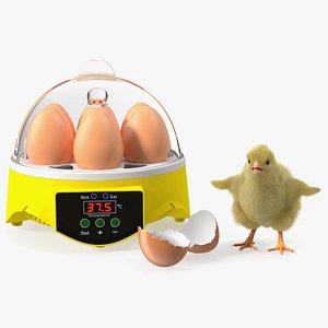3D Egg Incubator With Chick Fur