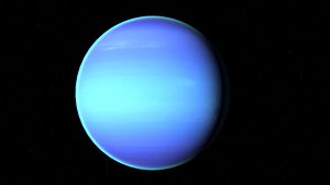 neptun 3d max corona rander