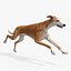 3D Dog Greyhound Running Animated Fur Rigged for Blender