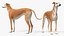 3D Dog Greyhound Running Animated Fur Rigged for Blender