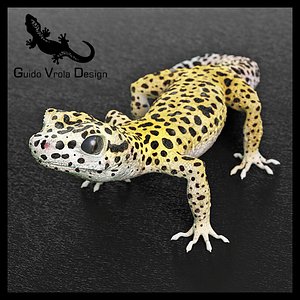 gecko leopard 3d model