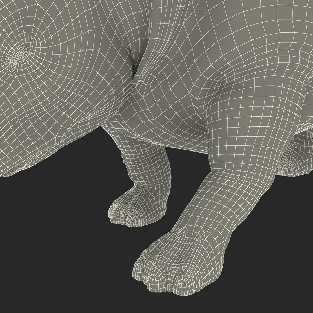 3d model elasmotherium pose fur https://p.turbosquid.com/ts-thumb/xY/iDrkEl/0YF00NPQ/elasmotheriumpose1fur_92/jpg/1413496500/1920x1080/fit_q87/fbdbc4114d9d5063cafe7eb02ae6d108eb2862f8/elasmotheriumpose1fur_92.jpg