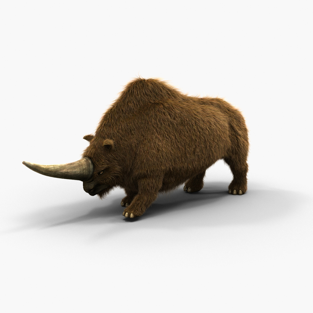 3d model elasmotherium pose fur https://p.turbosquid.com/ts-thumb/xY/iDrkEl/15Glysc7/turntablefile_360/jpg/1413496416/1920x1080/turn_fit_q99/e4789c74b77d0b32cd6295f4572143e790c378da/turntablefile_360-1.jpg