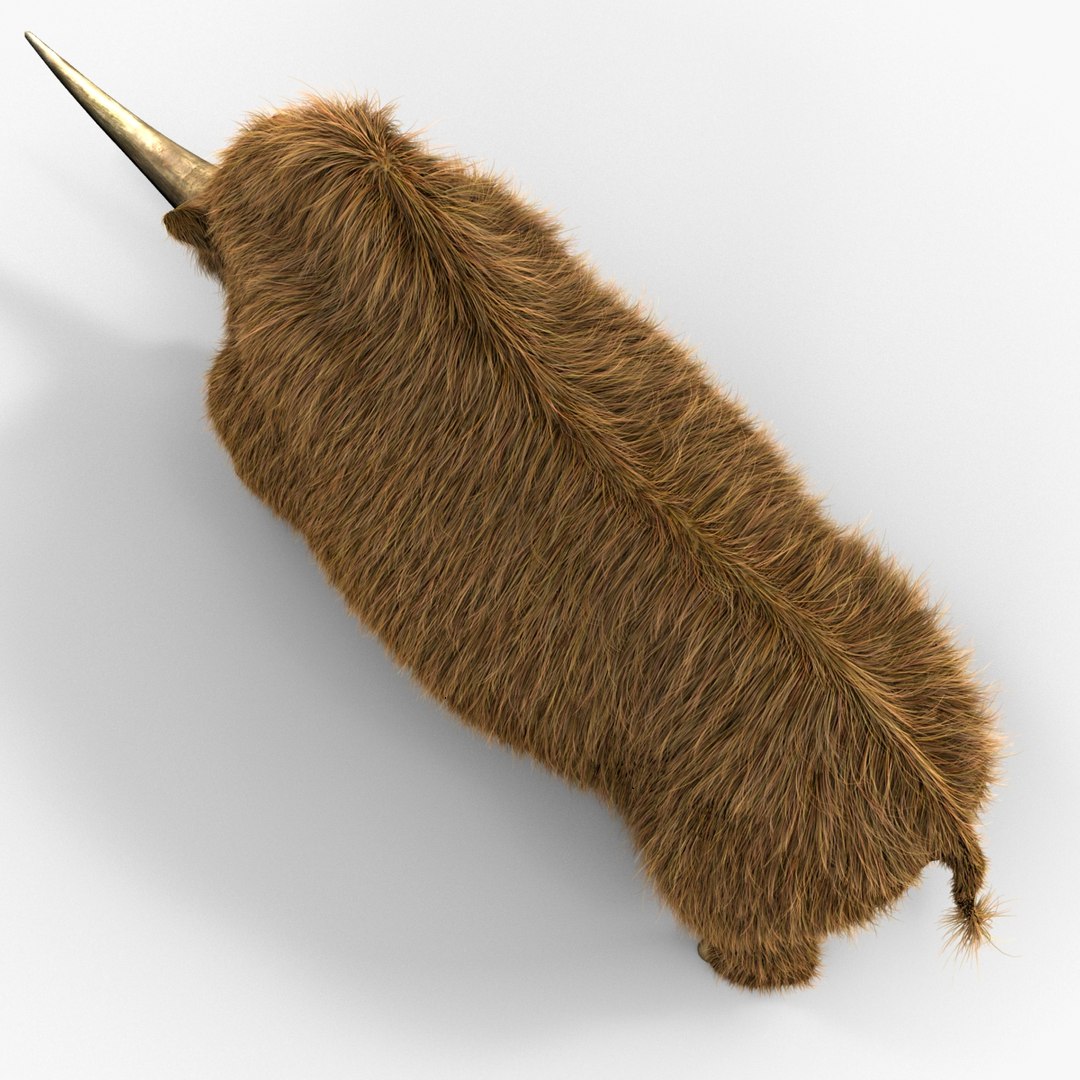 3d model elasmotherium pose fur https://p.turbosquid.com/ts-thumb/xY/iDrkEl/7XGgfCDo/elasmotheriumpose1fur_12/jpg/1413496411/1920x1080/fit_q87/0c9f14187d3c07671cbff5ff30247d0f885f7f70/elasmotheriumpose1fur_12.jpg