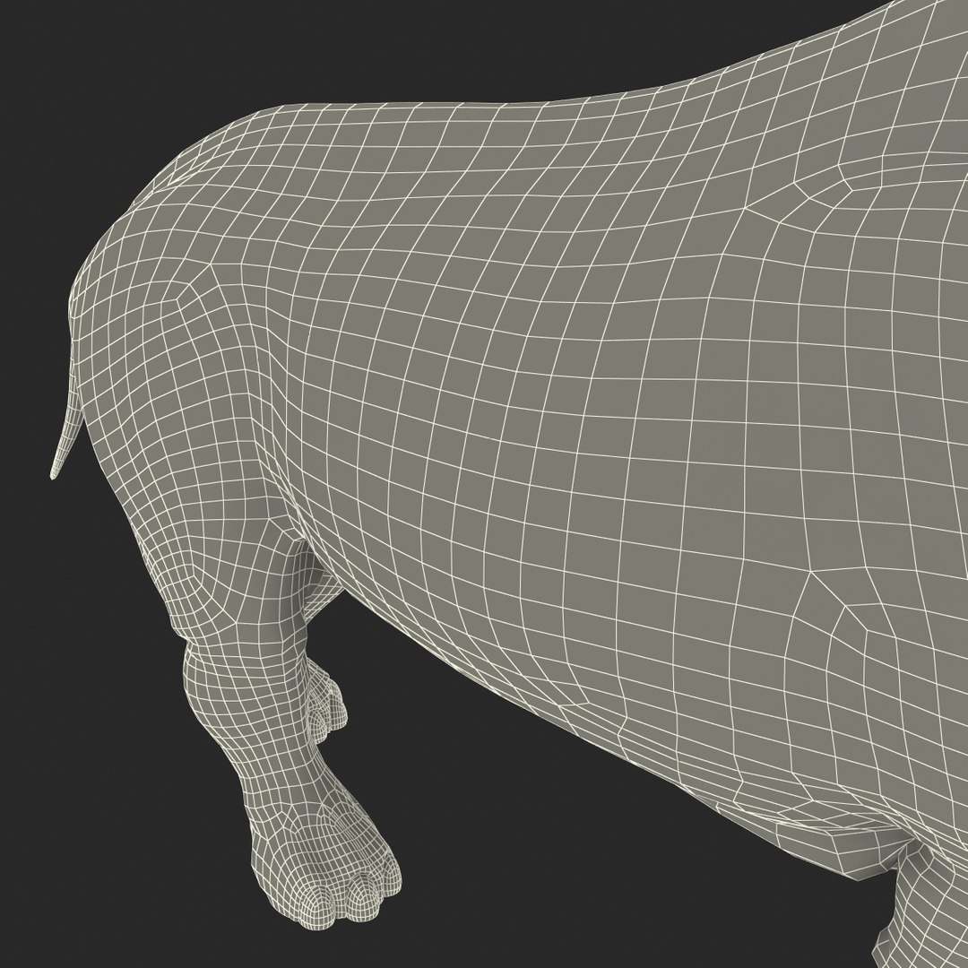 3d model elasmotherium pose fur https://p.turbosquid.com/ts-thumb/xY/iDrkEl/FJfWHHJB/elasmotheriumpose1fur_89/jpg/1413496496/1920x1080/fit_q87/0a6efd7296fbe513f4647faa779e735ca6a0d34a/elasmotheriumpose1fur_89.jpg