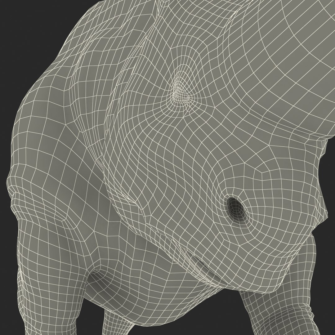 3d model elasmotherium pose fur https://p.turbosquid.com/ts-thumb/xY/iDrkEl/HtFMu1qb/elasmotheriumpose1fur_96/jpg/1413496551/1920x1080/fit_q87/f3bade867fda51194f5843341767e12198d8631b/elasmotheriumpose1fur_96.jpg