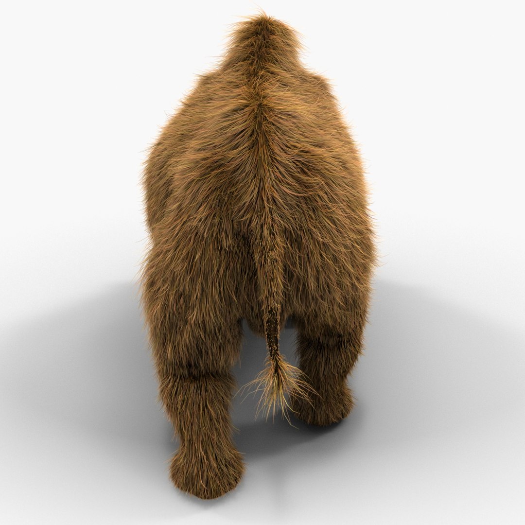 3d model elasmotherium pose fur https://p.turbosquid.com/ts-thumb/xY/iDrkEl/Y7xe8ijO/elasmotheriumpose1fur_9/jpg/1413496406/1920x1080/fit_q87/62646cf9bfeb38625ac2ea92981fe4c81e752b69/elasmotheriumpose1fur_9.jpg