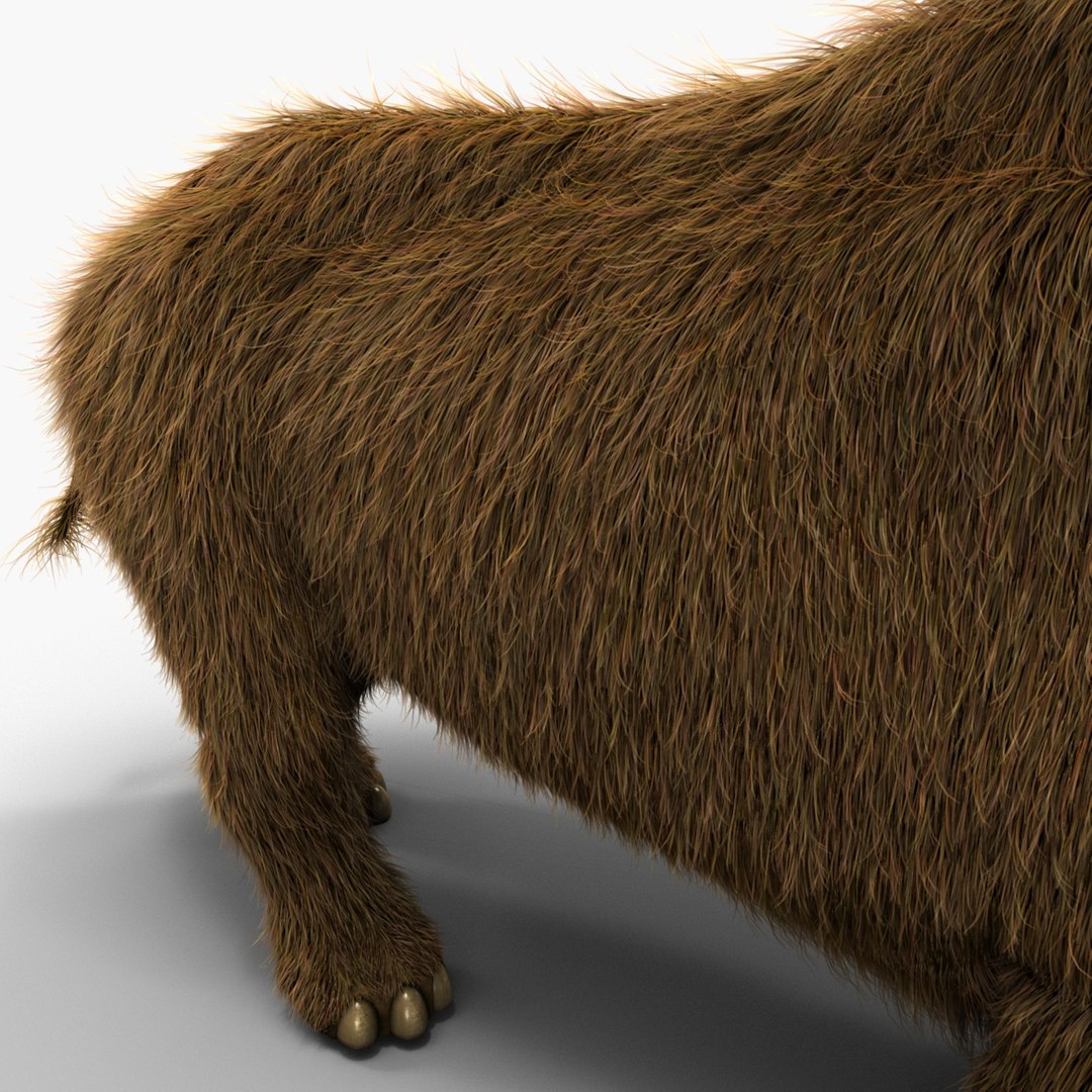 3d model elasmotherium pose fur https://p.turbosquid.com/ts-thumb/xY/iDrkEl/aMGC6XgS/elasmotheriumpose1fur_8/jpg/1413496404/1920x1080/fit_q87/eca6a44d9a974a3334908435223523f38eaac749/elasmotheriumpose1fur_8.jpg