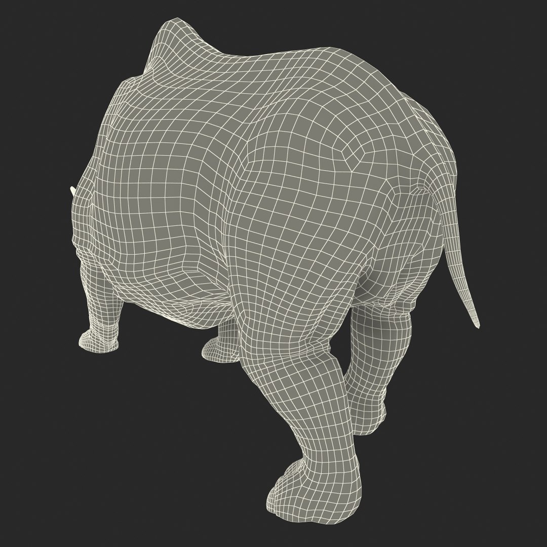 3d model elasmotherium pose fur https://p.turbosquid.com/ts-thumb/xY/iDrkEl/kCuqRCFm/elasmotheriumpose1fur_90/jpg/1413496550/1920x1080/fit_q87/4ae5b95d7cbd473f5ec10ea6e872e0a93719c13d/elasmotheriumpose1fur_90.jpg