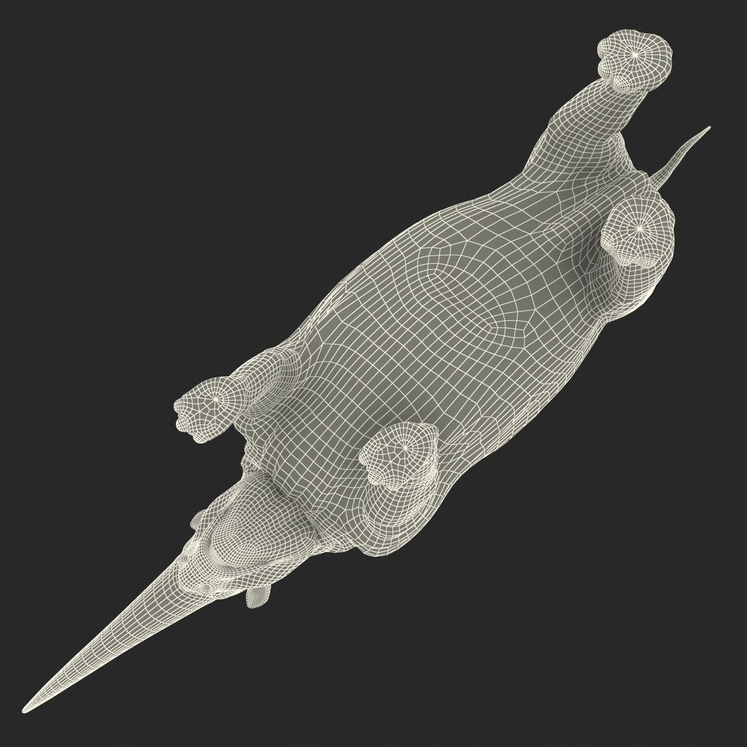 3d model elasmotherium pose fur https://p.turbosquid.com/ts-thumb/xY/iDrkEl/llstTour/elasmotheriumpose1fur_94/jpg/1413496556/1920x1080/fit_q87/bebca79de5789f13135fe77fbc6e814c3ddcbbed/elasmotheriumpose1fur_94.jpg