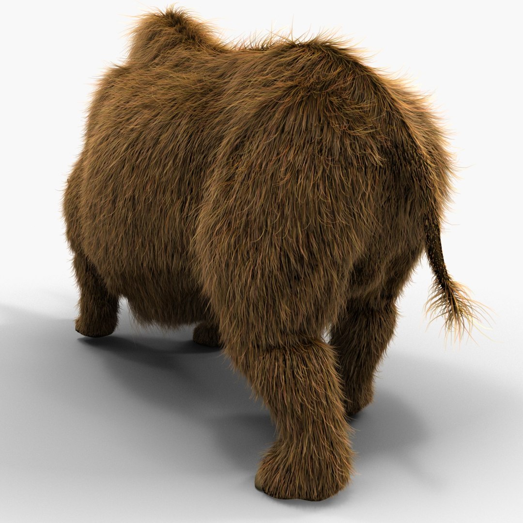3d model elasmotherium pose fur https://p.turbosquid.com/ts-thumb/xY/iDrkEl/qexXAZDx/elasmotheriumpose1fur_10/jpg/1413496399/1920x1080/fit_q87/fefb5ebb8cfffc4cb19dd501a9878ea721dba5be/elasmotheriumpose1fur_10.jpg