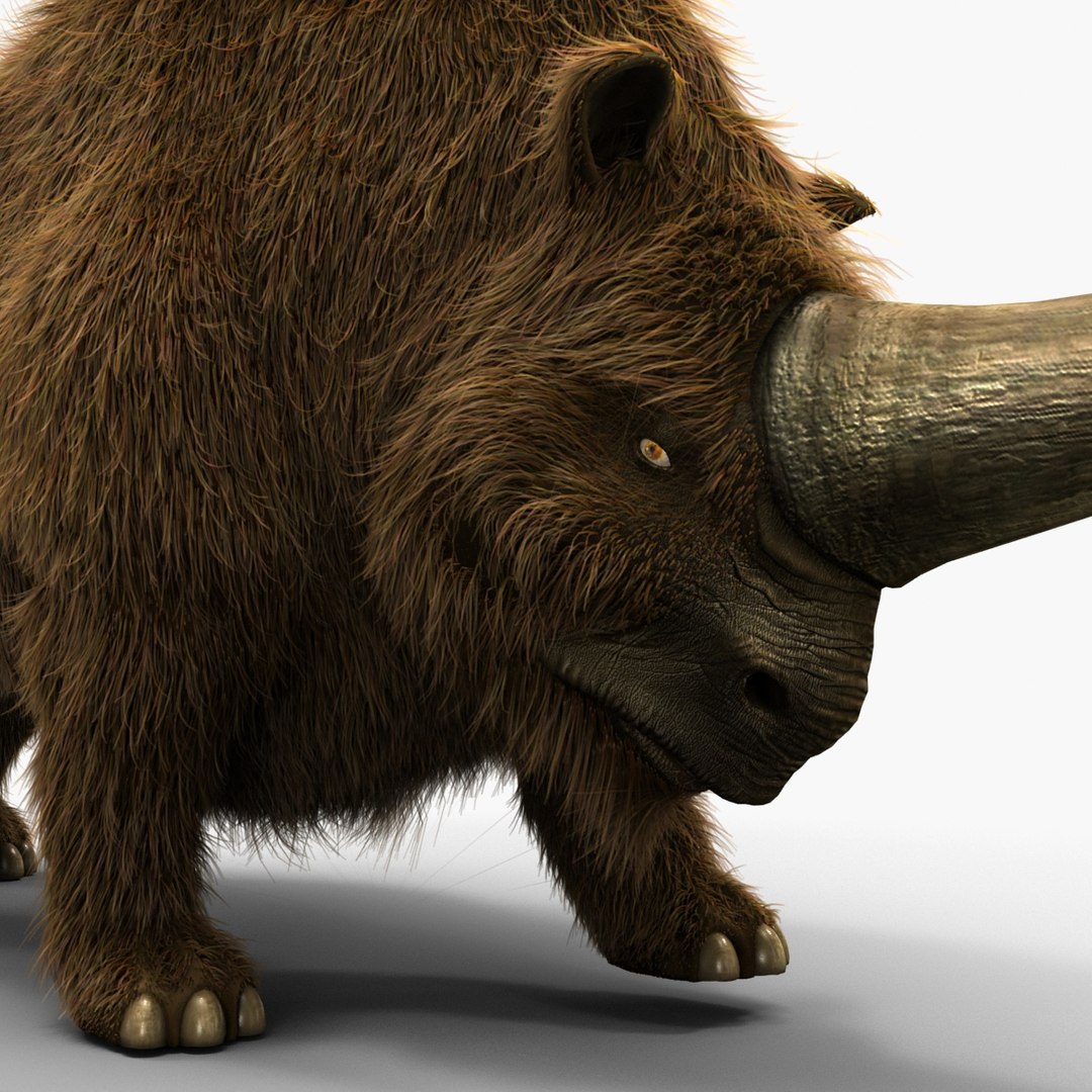 3d model elasmotherium pose fur https://p.turbosquid.com/ts-thumb/xY/iDrkEl/xFA4xwUD/elasmotheriumpose1fur_7/jpg/1413496402/1920x1080/fit_q87/1b146fd318b02a3aff9e45397e56f2263a6e5990/elasmotheriumpose1fur_7.jpg