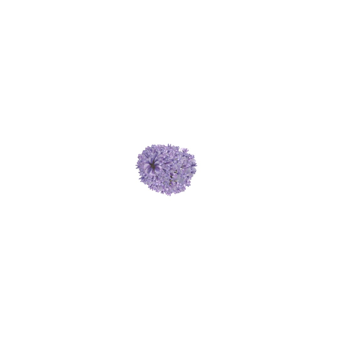 3d wisteria flowers model https://p.turbosquid.com/ts-thumb/xY/rH2b1s/5EpgZE4G/8/jpg/1487590065/1920x1080/fit_q87/1325201438a9403c7452f8cd16309b150e1510ce/8.jpg