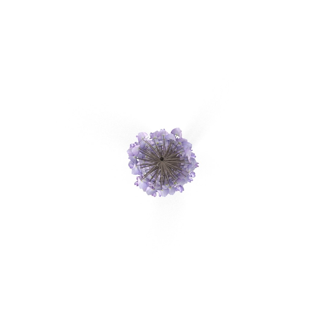 3d wisteria flowers model https://p.turbosquid.com/ts-thumb/xY/rH2b1s/UGvlwy4b/7/jpg/1487590065/1920x1080/fit_q87/47c0a60021260454462f1ff0d1d66cf6698260de/7.jpg