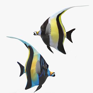 max moorish idol static