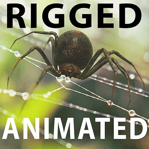 3D Black Widow Rigged Animated 8K PBR Textures