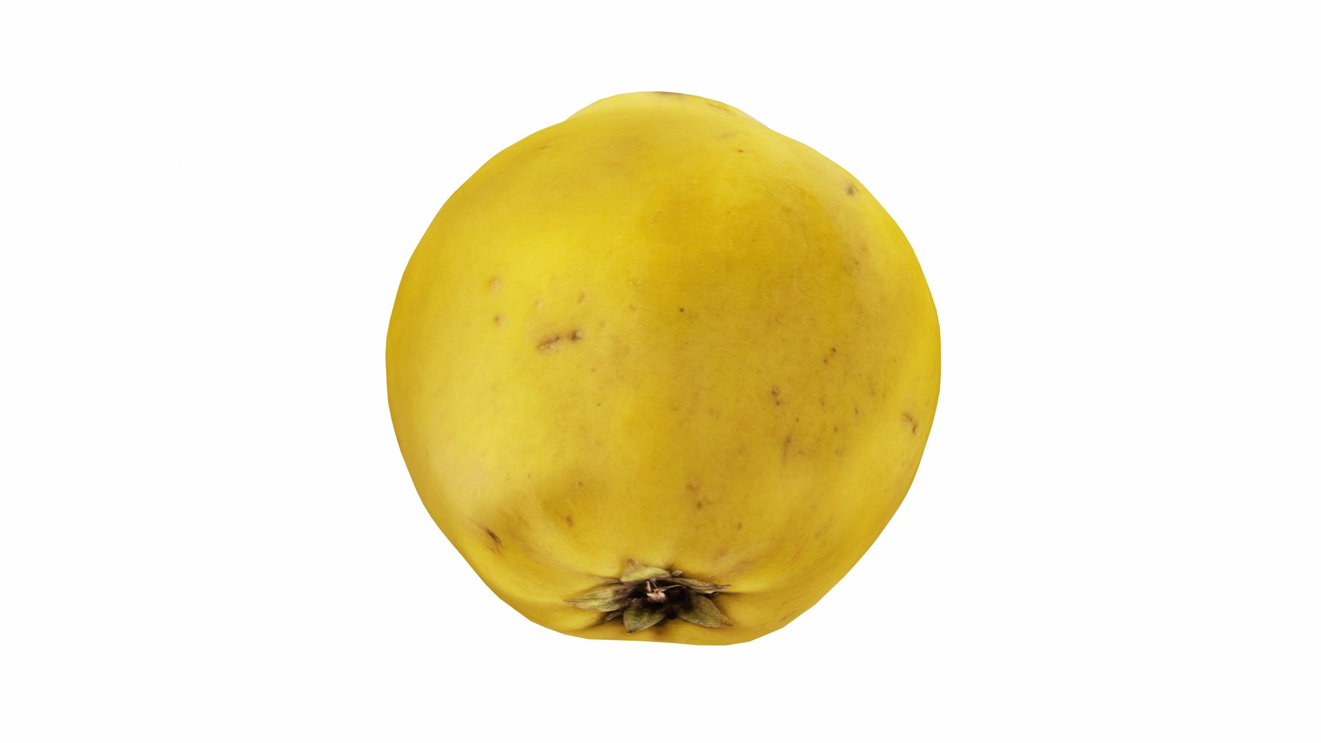 Pome Fruits 3D https://p.turbosquid.com/ts-thumb/xZ/6ruW7O/hw/quince2/jpg/1770243740/1920x1080/fit_q87/43f85759a59f2e7b138f15cc99a2fbb721755b8e/quince2.jpg