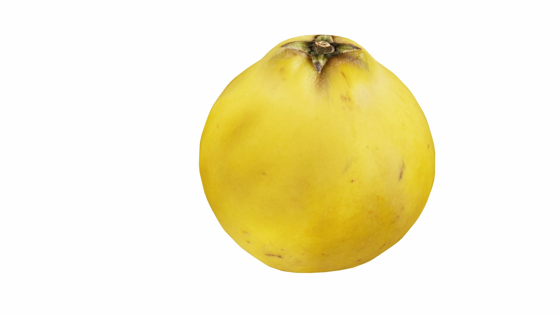 Pome Fruits 3D https://p.turbosquid.com/ts-thumb/xZ/6ruW7O/ix/quince1/jpg/1770243739/1920x1080/fit_q87/ca16e3c0e9bbc667afd3dbbd6b6aed76e3760943/quince1.jpg