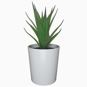 fejka potted plant model