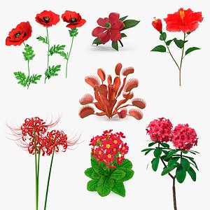 Red Flowering Plants Collection 5