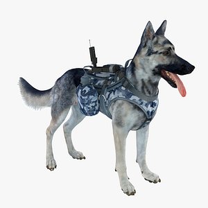 military shepherd dog 4 3d model