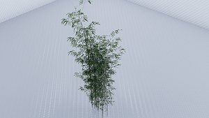 Bamboo Cluster 3D model