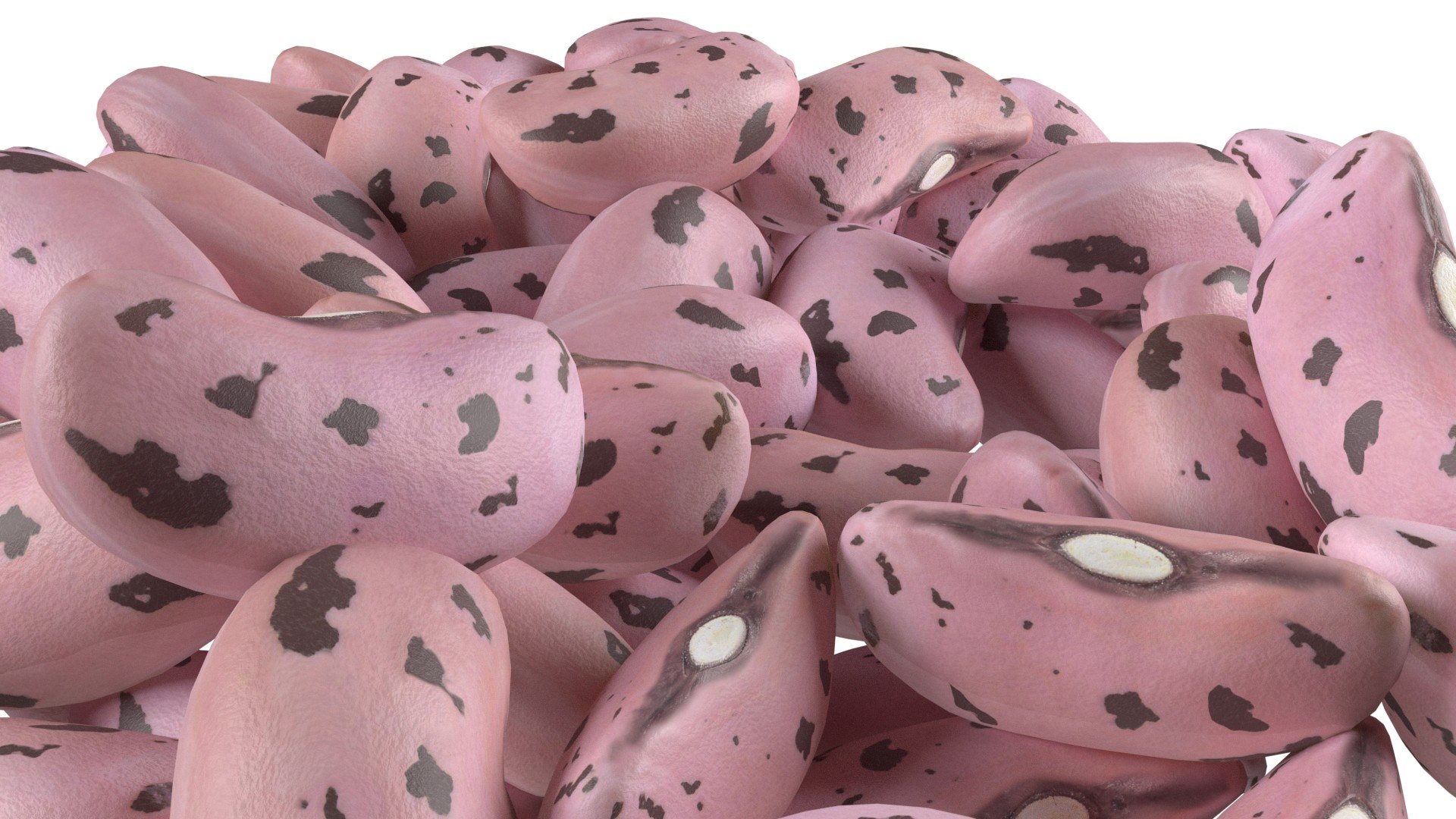 3D Cranberry Borlotti bean Pile https://p.turbosquid.com/ts-thumb/xZ/M2daOm/YA/5/jpg/1745474989/1920x1080/fit_q87/d5694598a615da30134b4df14f4e91f15077bbb0/5.jpg