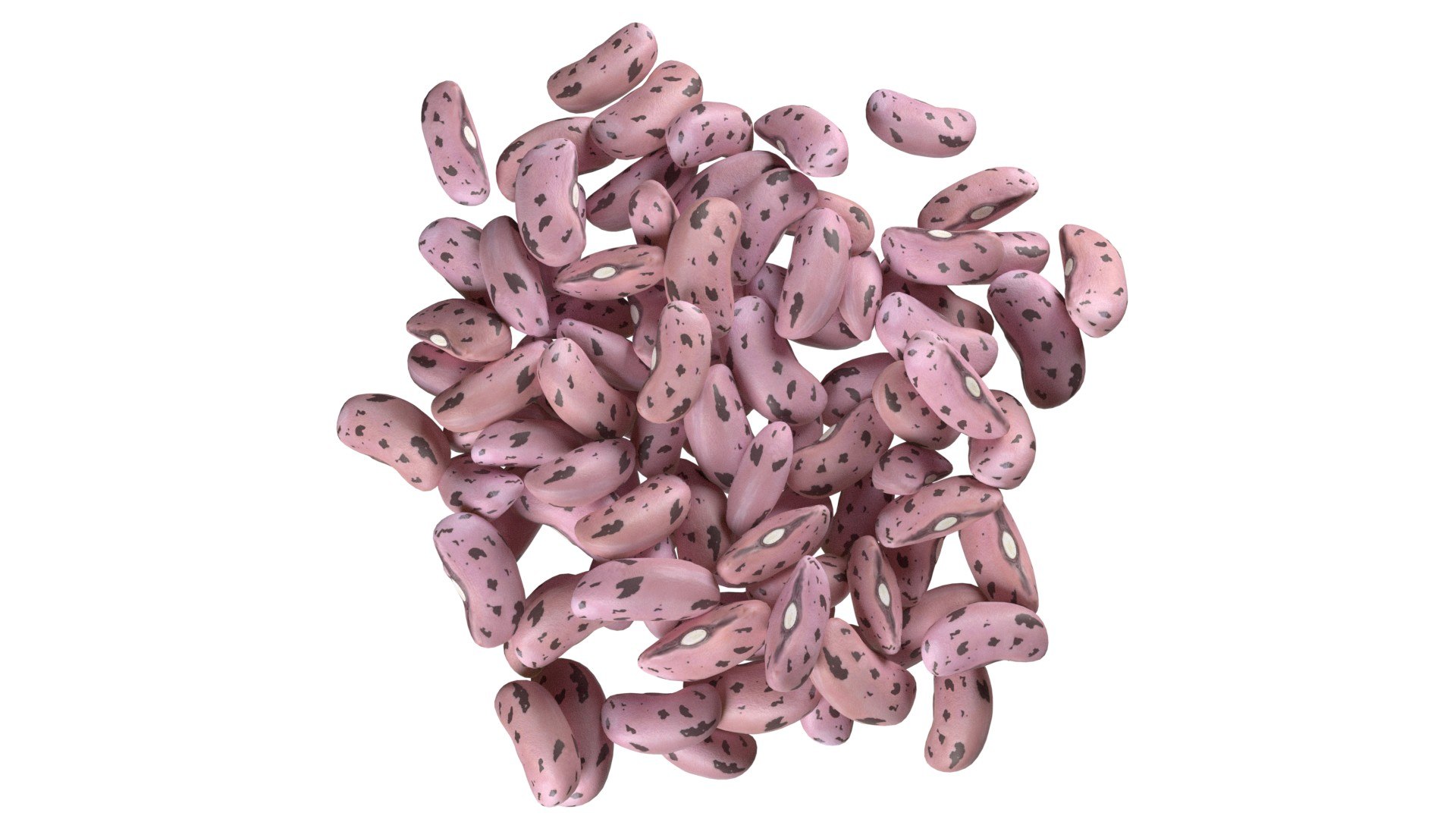 3D Cranberry Borlotti bean Pile https://p.turbosquid.com/ts-thumb/xZ/M2daOm/do/4/jpg/1745474987/1920x1080/fit_q87/83a37263ff10701f9969083b5f651bc8742412c8/4.jpg
