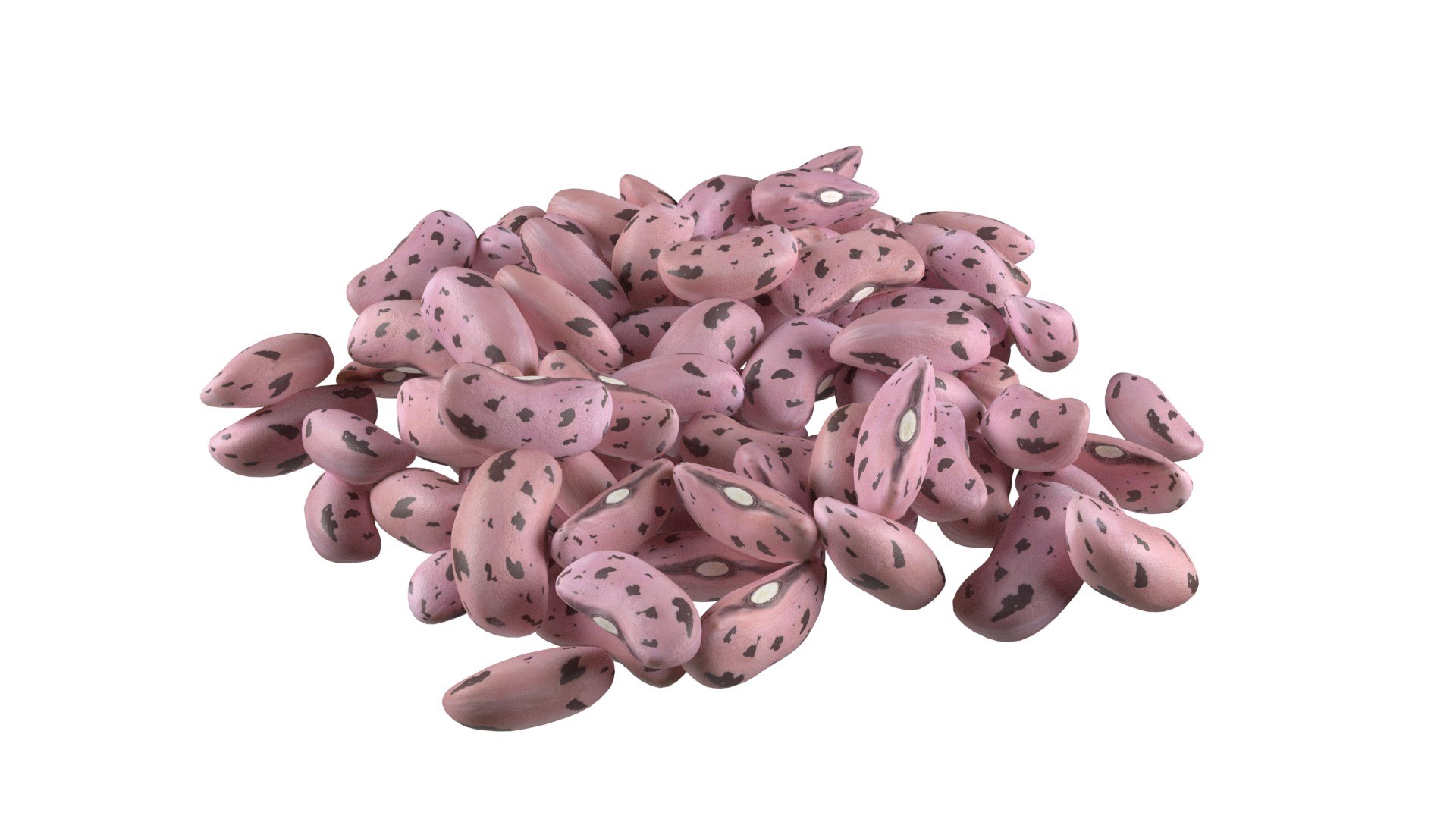 3D Cranberry Borlotti bean Pile https://p.turbosquid.com/ts-thumb/xZ/M2daOm/wG/2/jpg/1745474986/1920x1080/fit_q87/959c6720f7acead8068946c268f3031bb2d80a65/2.jpg
