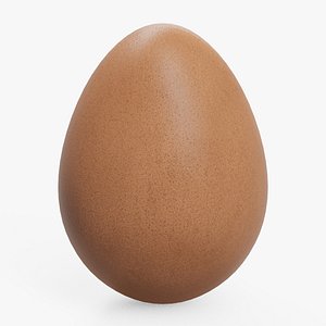 3D model chicken egg